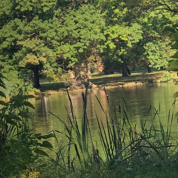 oanhlam49